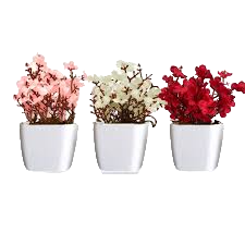 3 Minis Vasinhos de  plantas (Plantas Aleatórioas) - Veja a qualidade do nosso produto no final da página